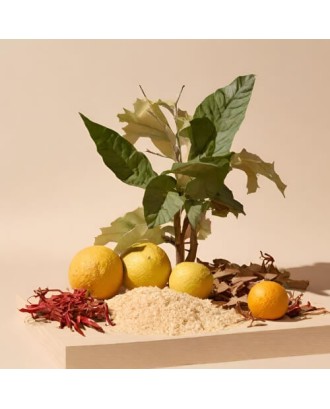 Aromatinis aliejus „Bergamotė ir kašmyro mediena“, 30 g